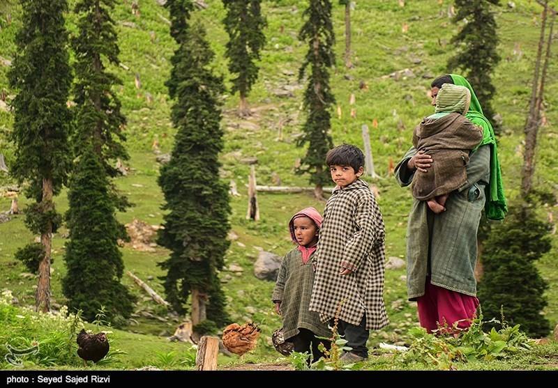 ممنوعیت سفر گردشگران خارجی به کشمیر توسط هند و پاکستان ممنوعیت سفر گردشگران خارجی به کشمیر توسط هند و پاکستان