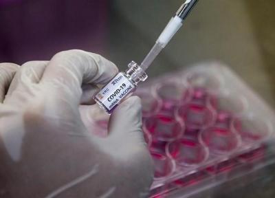 واکسن های ساخت روسیه علیه کرونا بی خطر و ایمن هستند